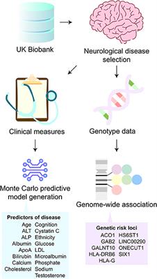 Machine Learning Analysis Reveals Biomarkers for the Detection of Neurological Diseases